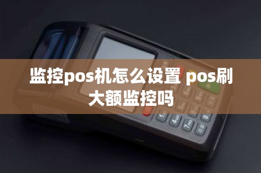 监控pos机怎么设置 pos刷大额监控吗