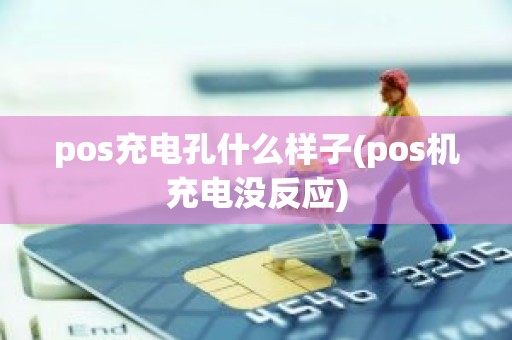 pos充电孔什么样子(pos机充电没反应)