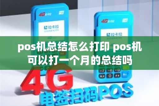 pos机总结怎么打印 pos机可以打一个月的总结吗