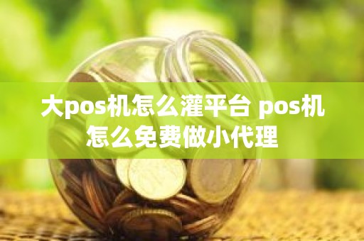 大pos机怎么灌平台 pos机怎么免费做小代理