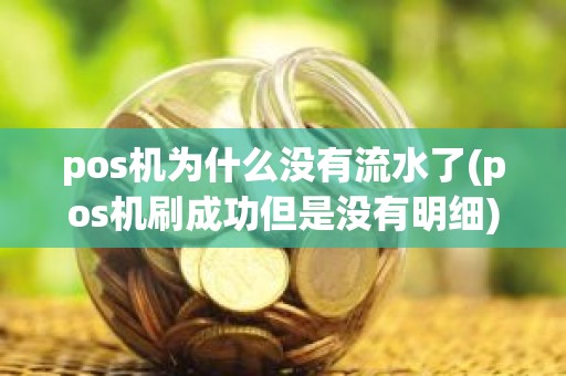 pos机为什么没有流水了(pos机刷成功但是没有明细)