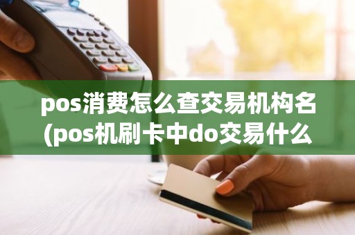 pos消费怎么查交易机构名(pos机刷卡中do交易什么意思)