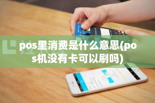 pos里消费是什么意思(pos机没有卡可以刷吗)