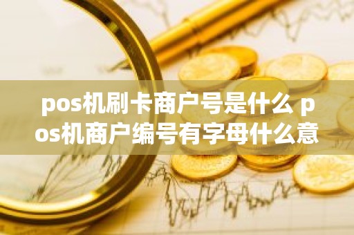 pos机刷卡商户号是什么 pos机商户编号有字母什么意思