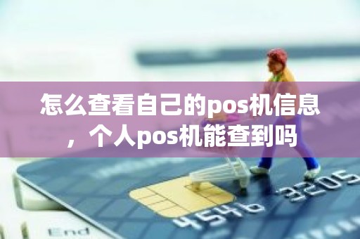 怎么查看自己的pos机信息，个人pos机能查到吗