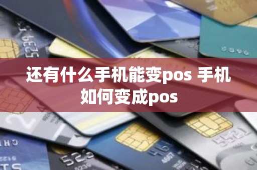 还有什么手机能变pos 手机如何变成pos