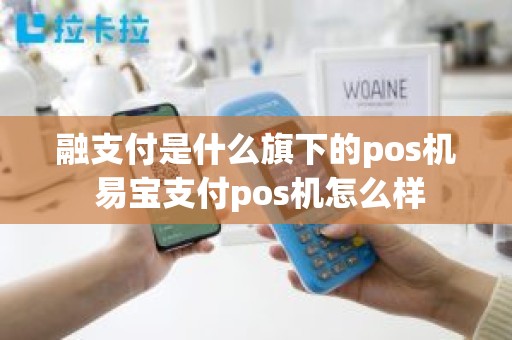 融支付是什么旗下的pos机 易宝支付pos机怎么样