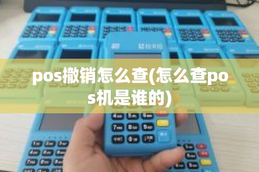 pos撤销怎么查(怎么查pos机是谁的)