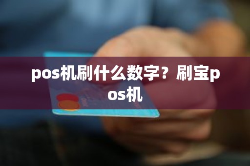 pos机刷什么数字？刷宝pos机