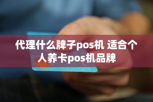 代理什么牌子pos机 适合个人养卡pos机品牌