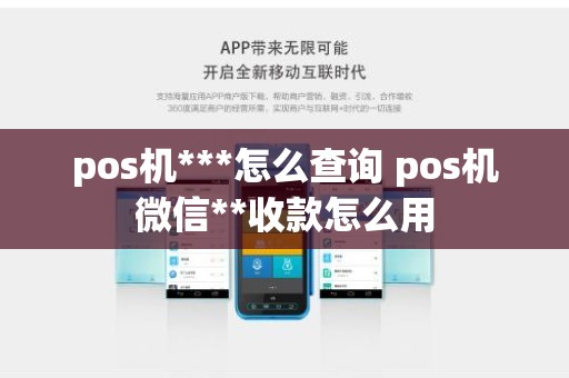 pos机***怎么查询 pos机微信**收款怎么用