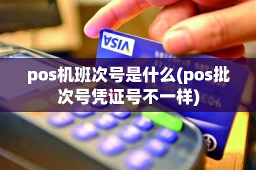 pos机班次号是什么(pos批次号凭证号不一样)