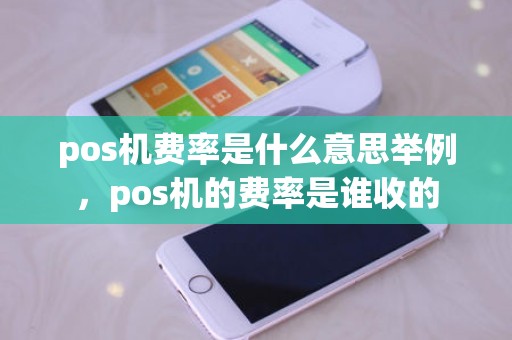 pos机费率是什么意思举例，pos机的费率是谁收的