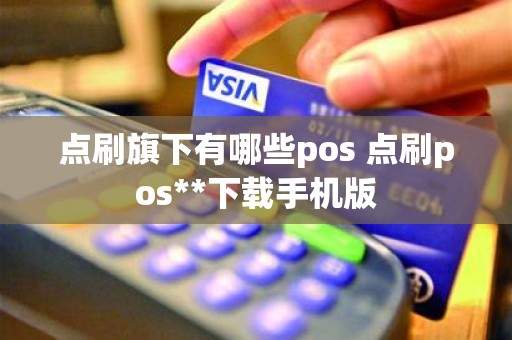 点刷旗下有哪些pos 点刷pos**下载手机版