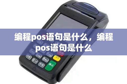 编程pos语句是什么，编程pos语句是什么