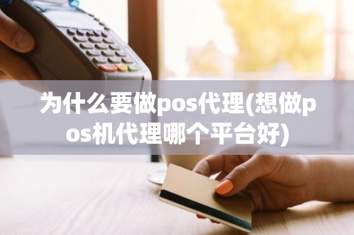 为什么要做pos代理(想做pos机代理哪个平台好)