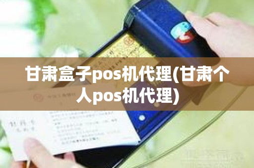 甘肃盒子pos机代理(甘肃个人pos机代理)