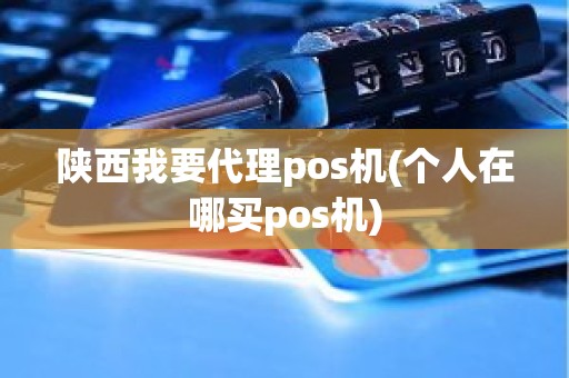 陕西我要代理pos机(个人在哪买pos机)