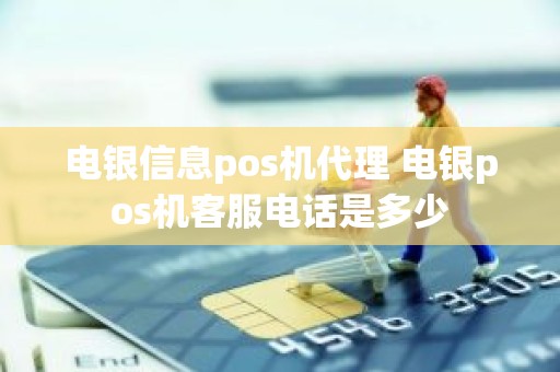 电银信息pos机代理 电银pos机客服电话是多少