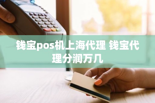 钱宝pos机上海代理 钱宝代理分润万几