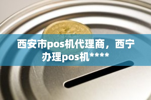 西安市pos机代理商，西宁办理pos机****