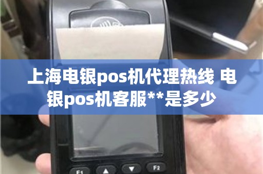 上海电银pos机代理热线 电银pos机客服**是多少