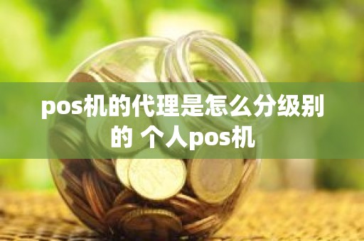 pos机的代理是怎么分级别的 个人pos机