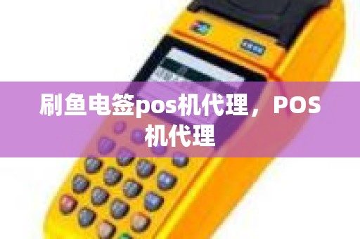 刷鱼电签pos机代理，POS机代理