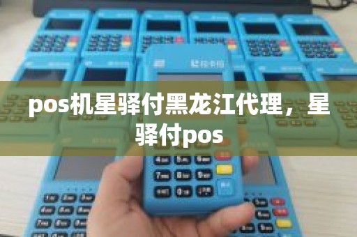 pos机星驿付黑龙江代理，星驿付pos