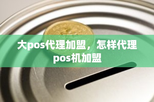 大pos代理加盟，怎样代理pos机加盟