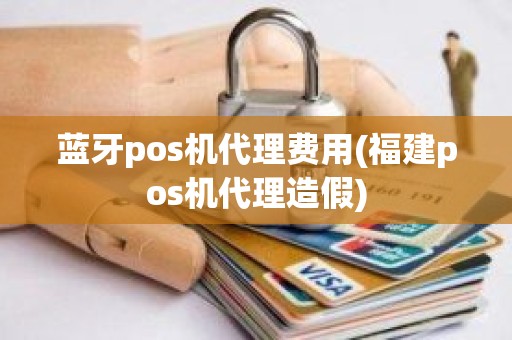 蓝牙pos机代理费用(福建pos机代理造假)