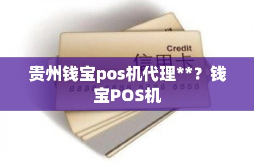 贵州钱宝pos机代理**？钱宝POS机