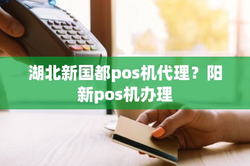 湖北新国都pos机代理？阳新pos机办理