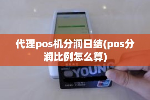 代理pos机分润日结(pos分润比例怎么算)