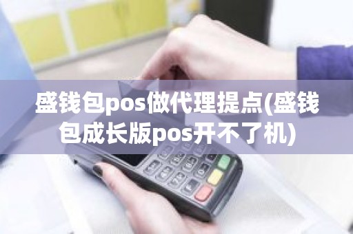 盛钱包pos做代理提点(盛钱包成长版pos开不了机)