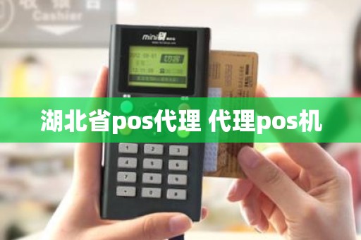 湖北省pos代理 代理pos机