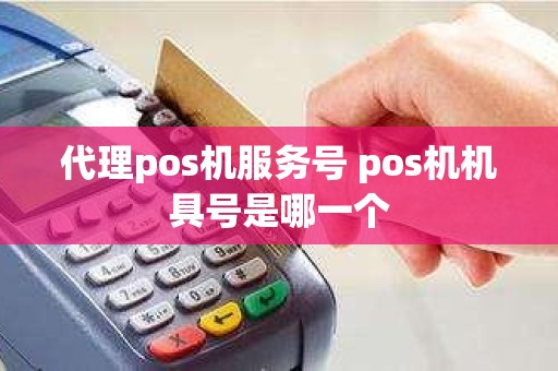 代理pos机服务号 pos机机具号是哪一个