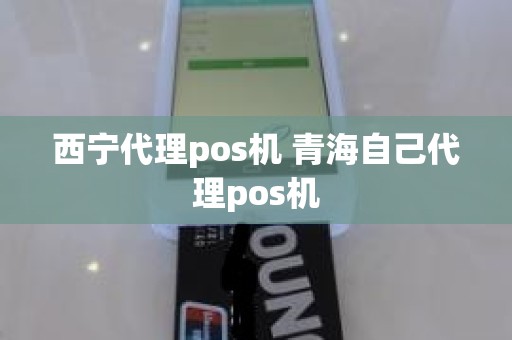 西宁代理pos机 青海自己代理pos机