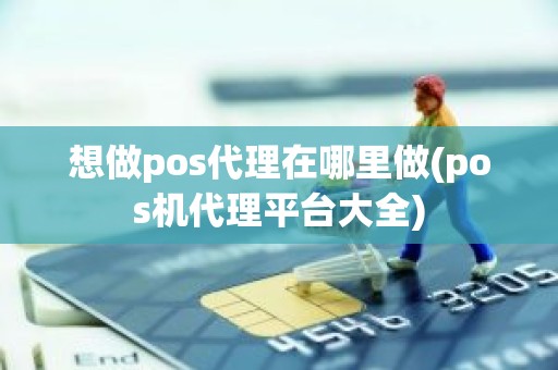 想做pos代理在哪里做(pos机代理平台大全)