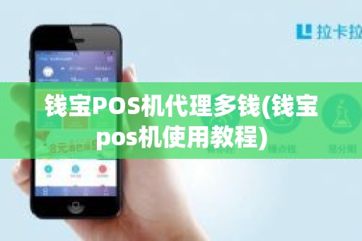 钱宝POS机代理多钱(钱宝pos机使用教程)