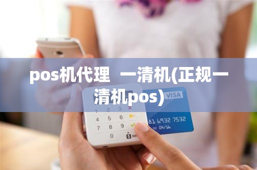 pos机代理  一清机(正规一清机pos)