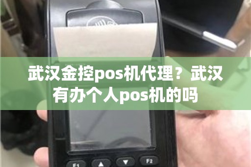 武汉金控pos机代理？武汉有办个人pos机的吗