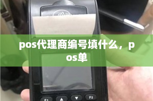 pos代理商编号填什么，pos单