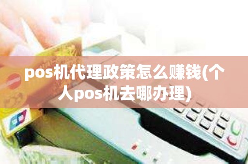 pos机代理政策怎么赚钱(个人pos机去哪办理)