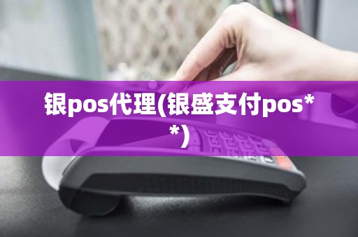 银pos代理(银盛支付pos**)