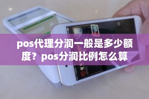 pos代理分润一般是多少额度？pos分润比例怎么算