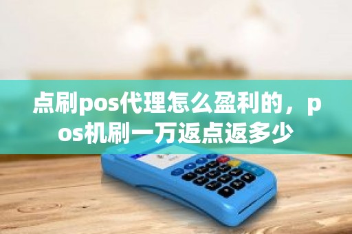 点刷pos代理怎么盈利的，pos机刷一万返点返多少