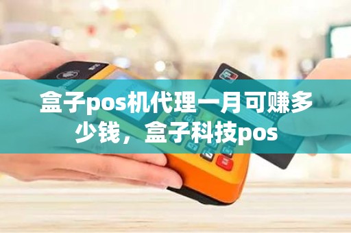 盒子pos机代理一月可赚多少钱，盒子科技pos