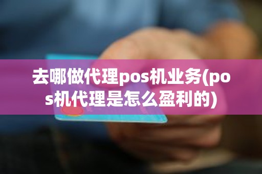 去哪做代理pos机业务(pos机代理是怎么盈利的)