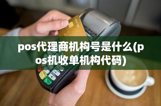 pos代理商机构号是什么(pos机收单机构代码)